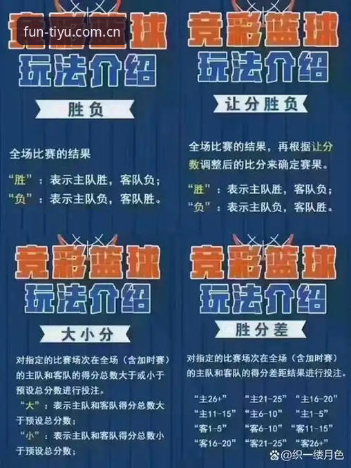 趣体育登录安装教程与竞猜平台对比分析：哪种方式更适合你？